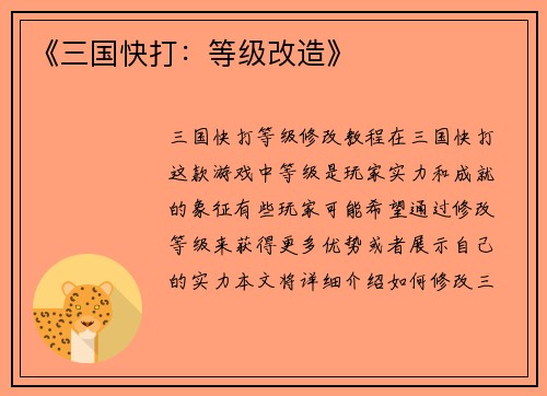 《三国快打：等级改造》