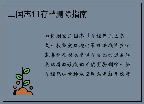 三国志11存档删除指南